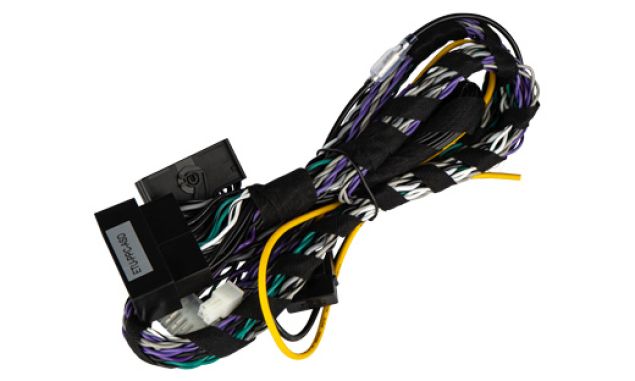 ETON UG PPC ASD